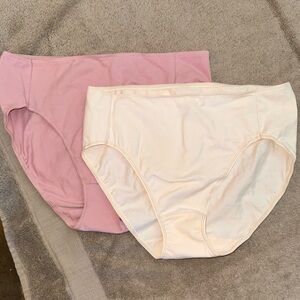 New Hanes Briefs-2 pr